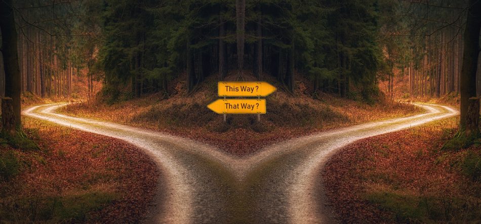 Chemistry dissertation length image